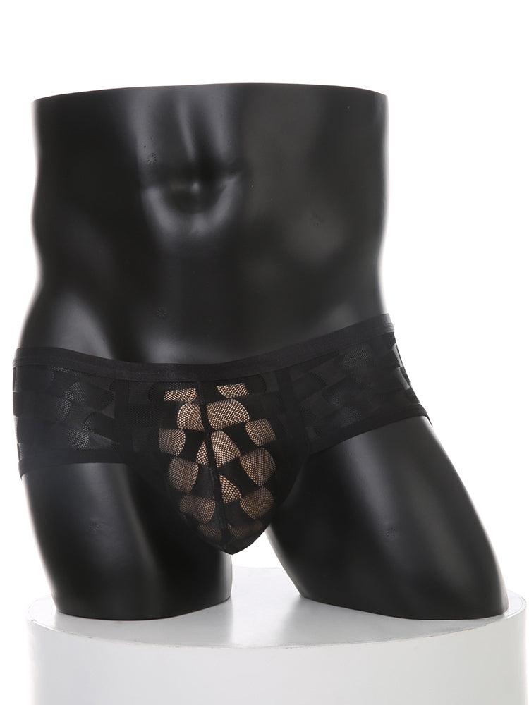 2 Pack Men's Mesh Breathable Large U-Pouch Quick-Dry Low-Rise Sexy Trunks | dmunderwear detail image 3