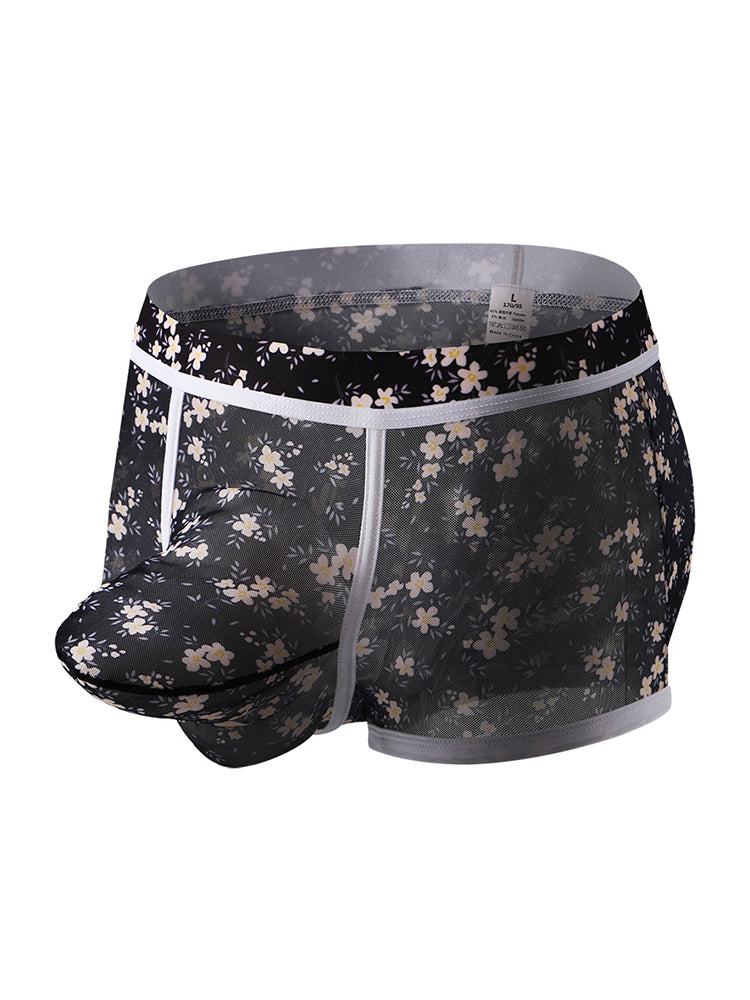 2-pack Men's Mesh Elephant Nose Transparent Boxer Briefs | dmunderwear detail image 16