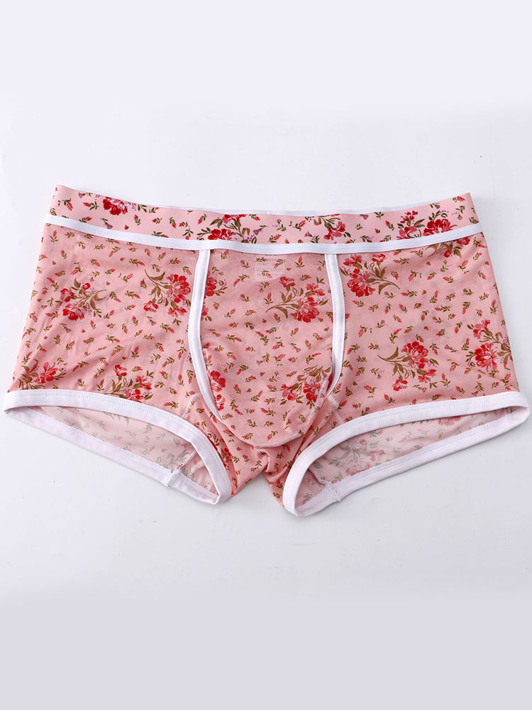 2-pack Men's Mesh Elephant Nose Transparent Boxer Briefs | dmunderwear detail image 4
