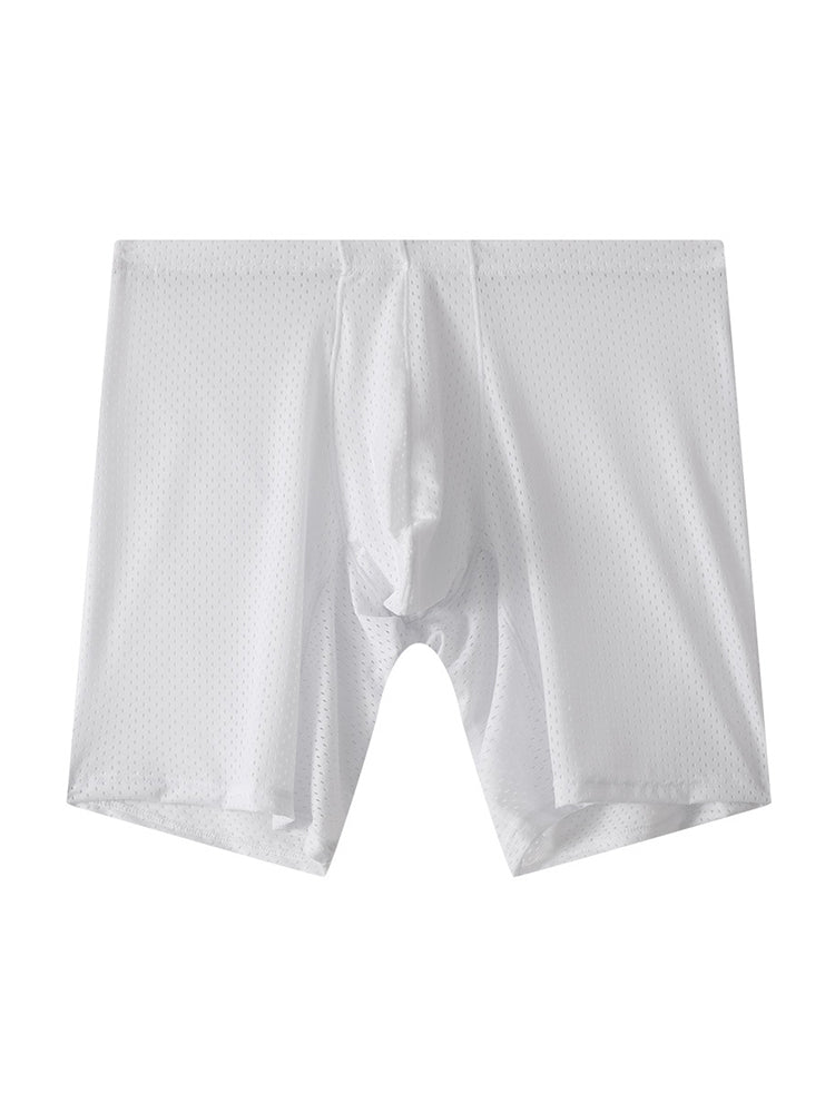 2 Pack Men's Mesh Transparent Sports Fitness Loose Boxer Briefs | dmunderwear detail image 16