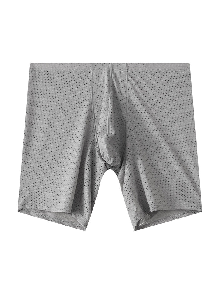 2 Pack Men's Mesh Transparent Sports Fitness Loose Boxer Briefs | dmunderwear detail image 17