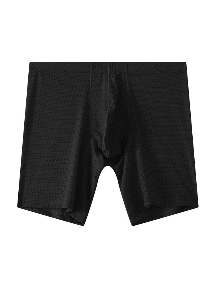 2 Pack Men's Mesh Transparent Sports Fitness Loose Boxer Briefs | dmunderwear detail image 18