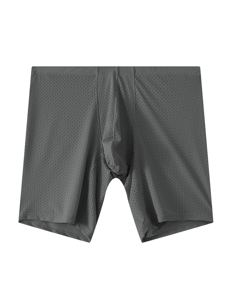 2 Pack Men's Mesh Transparent Sports Fitness Loose Boxer Briefs | dmunderwear detail image 19