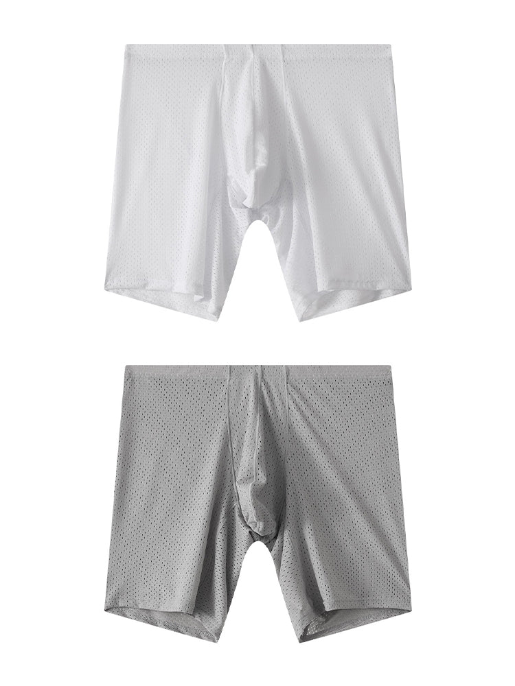 2 Pack Men's Mesh Transparent Sports Fitness Loose Boxer Briefs | dmunderwear detail image 2