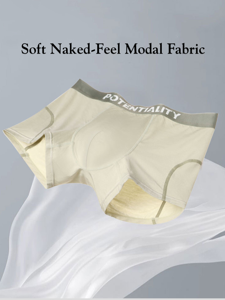 2 Pack Men's Mid-Rise Ultra-Soft Modal Antibacterial High-Stretch Trunks | dmunderwear detail image 3