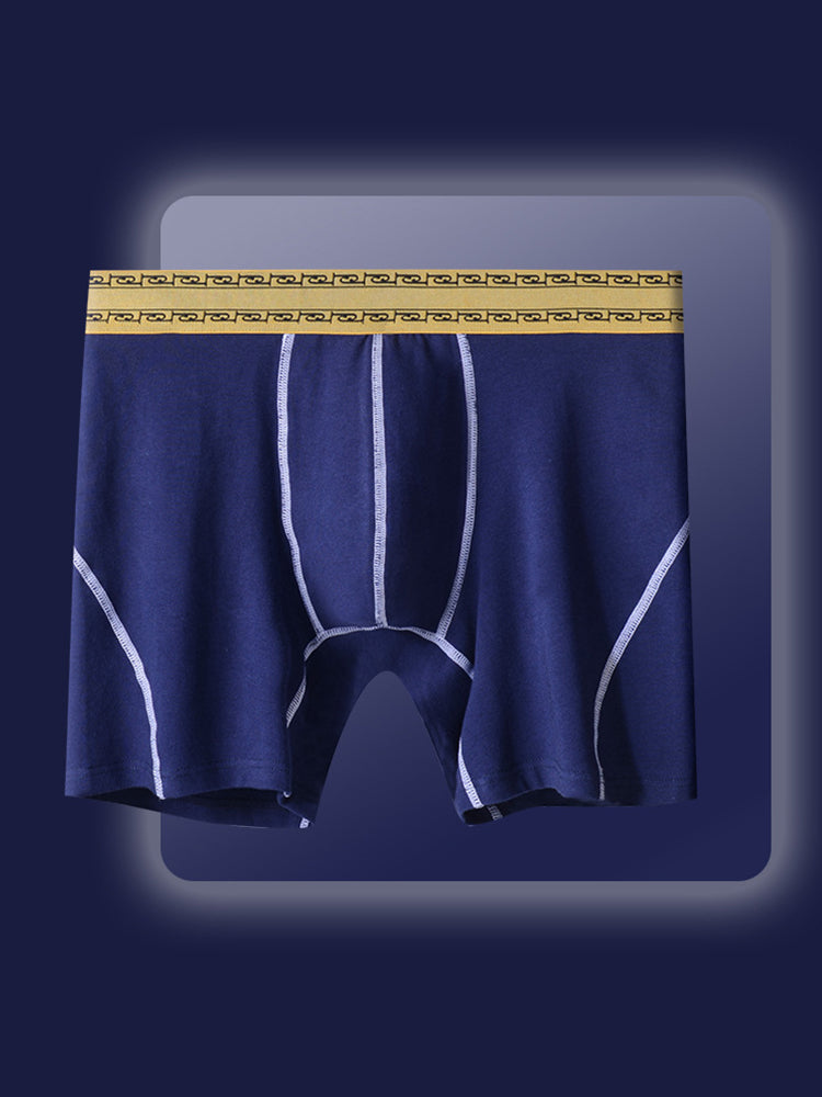 2 Pack Men's Pure Cotton Anti-Chafing Breathable Sports Boxer Briefs | dmunderwear detail image 14