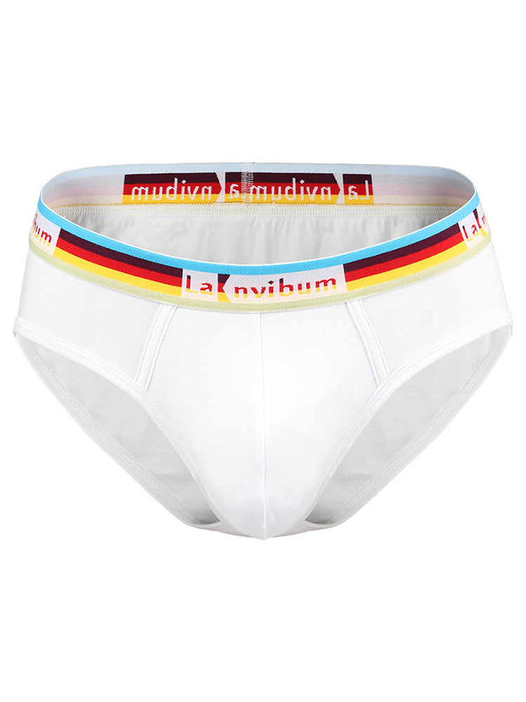 2 Pack Men's U Pouch Rainbow Pride Briefs | dmunderwear