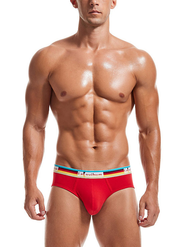 2 Pack Men's U Pouch Rainbow Pride Briefs | dmunderwear detail image 13