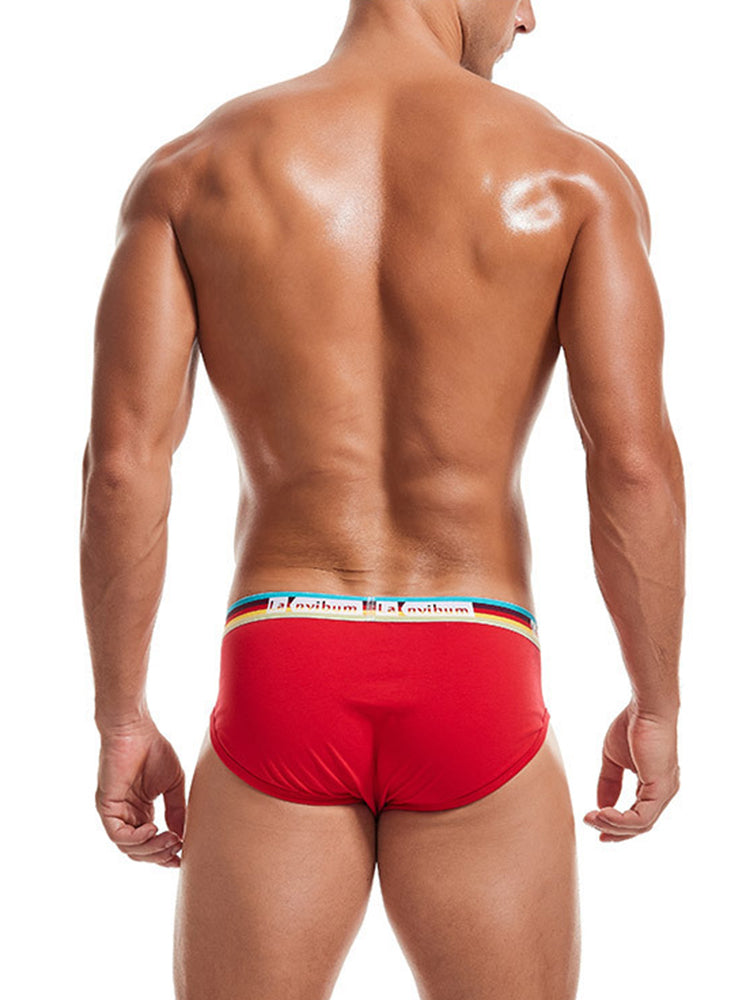 2 Pack Men's U Pouch Rainbow Pride Briefs | dmunderwear detail image 16
