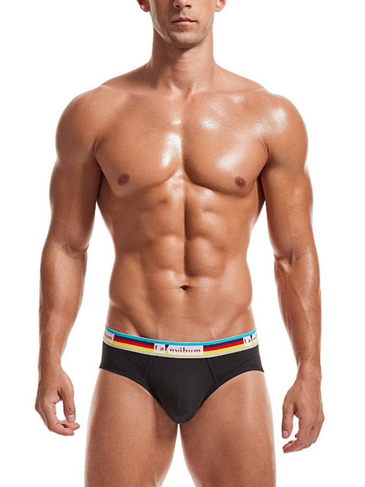 2 Pack Men's U Pouch Rainbow Pride Briefs | dmunderwear detail image 17