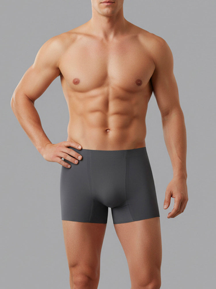 2 Pack Men's Seamless Ice Silk Smooth Touch Antibacterial Boxer Briefs | dmunderwear