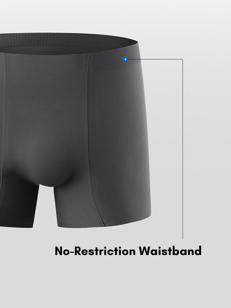 2 Pack Men's Seamless Ice Silk Smooth Touch Antibacterial Boxer Briefs | dmunderwear detail image 14