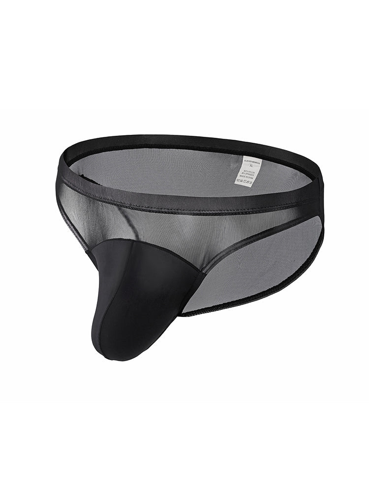 2 Pack Men's Seductive Mesh Sheer Briefs | dmunderwear
