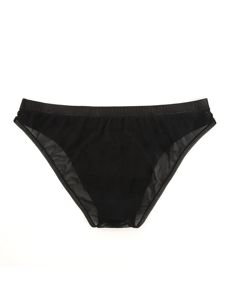 2 Pack Men's Seductive Mesh Sheer Briefs | dmunderwear detail image 17