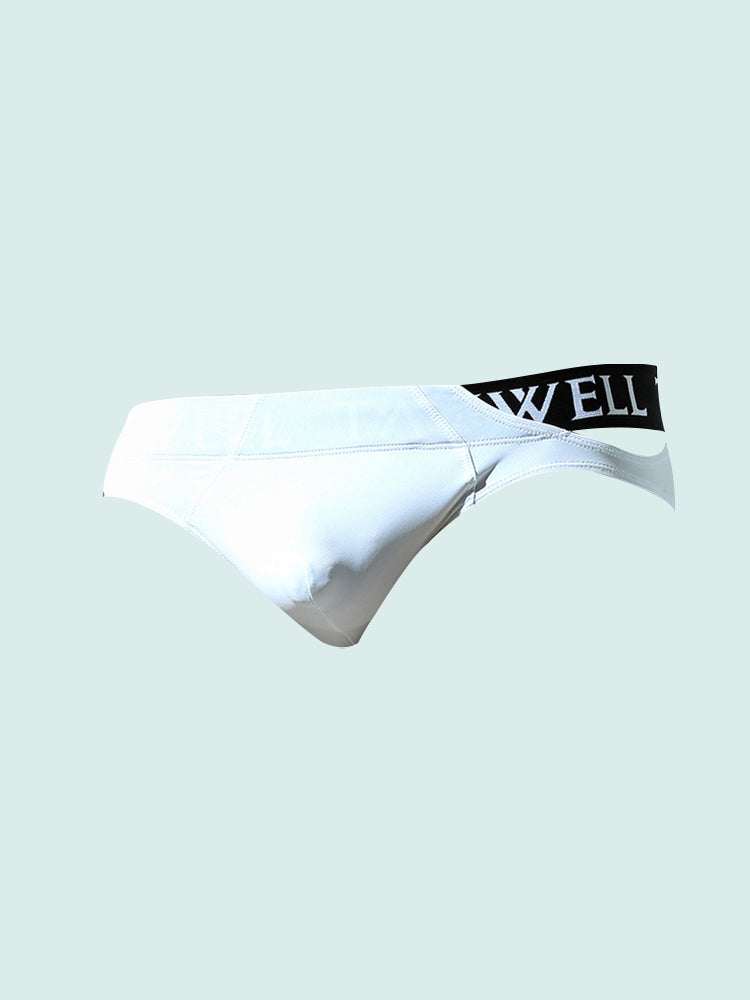 2 Pack Men's Sexy Low-Rise Comfy Waistband Stretch Fit Briefs | dmunderwear
