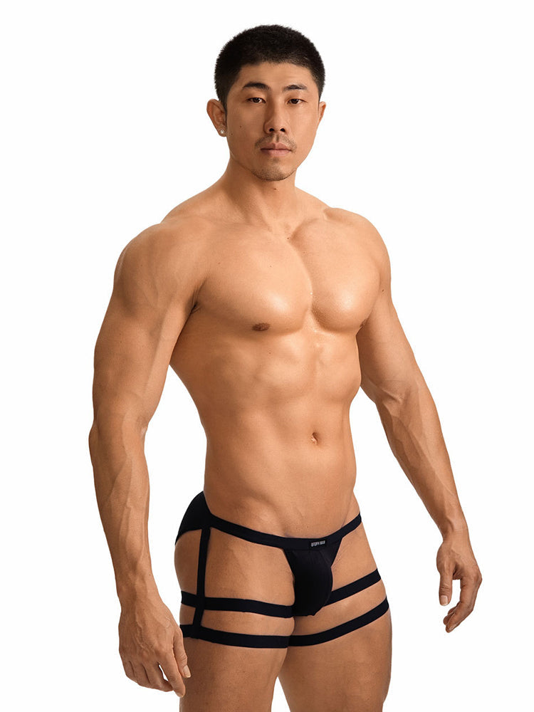 2 Pack Men's Sexy Low-Rise Tie-Side U-Pouch Sheer Design Breathable Bikini | dmunderwear detail image 3