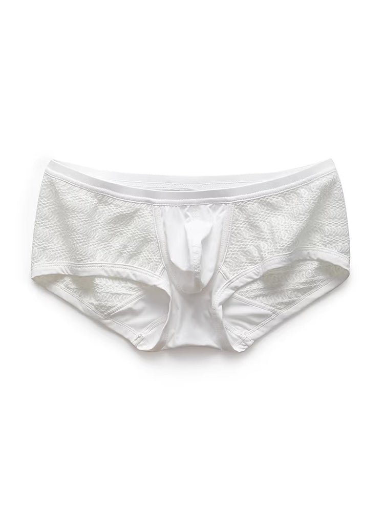 2 Pack Men's Sexy Semi-Sheer Lace Mesh Trunks with Contoured U-Pouch | dmunderwear