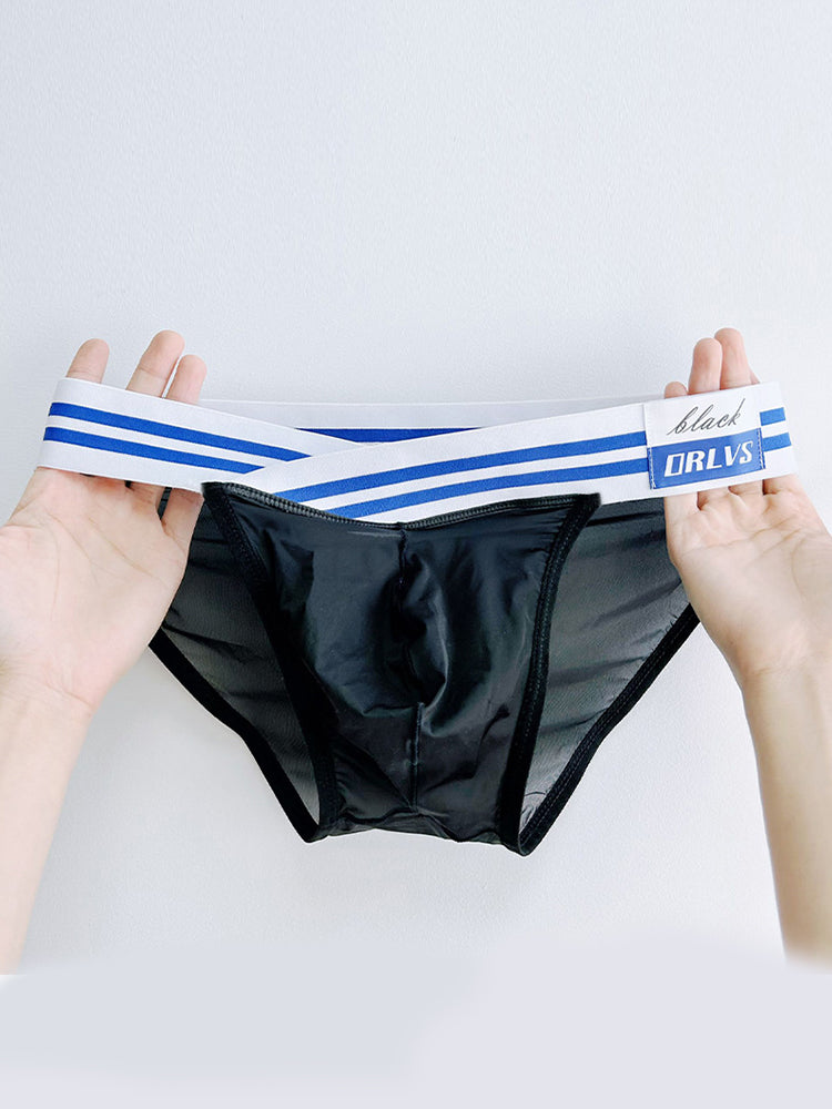 2-pack Men's Sexy Semi-transparent Mesh Briefs | dmunderwear