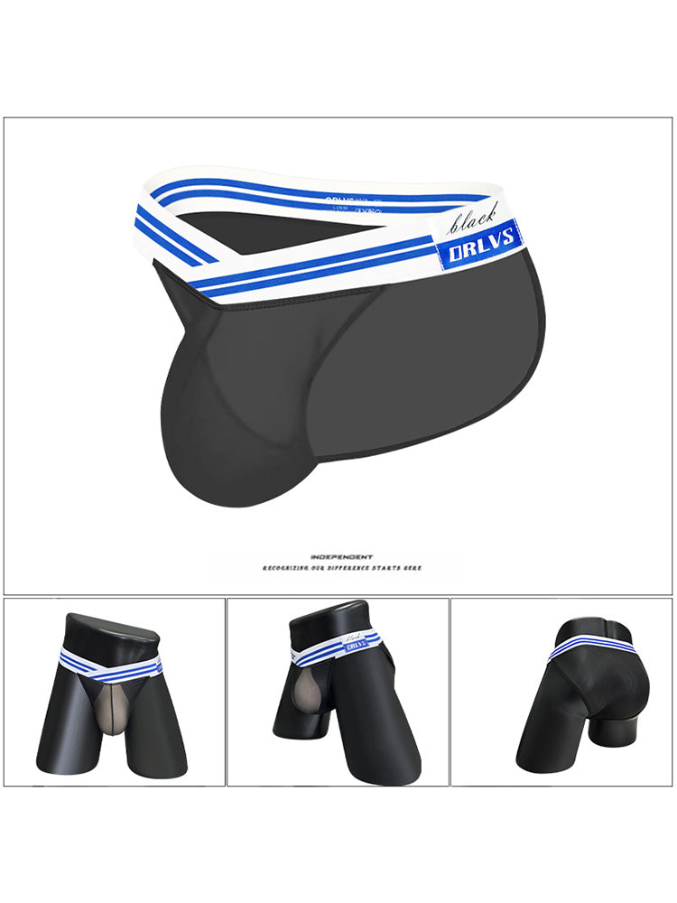 2-pack Men's Sexy Semi-transparent Mesh Briefs | dmunderwear detail image 11