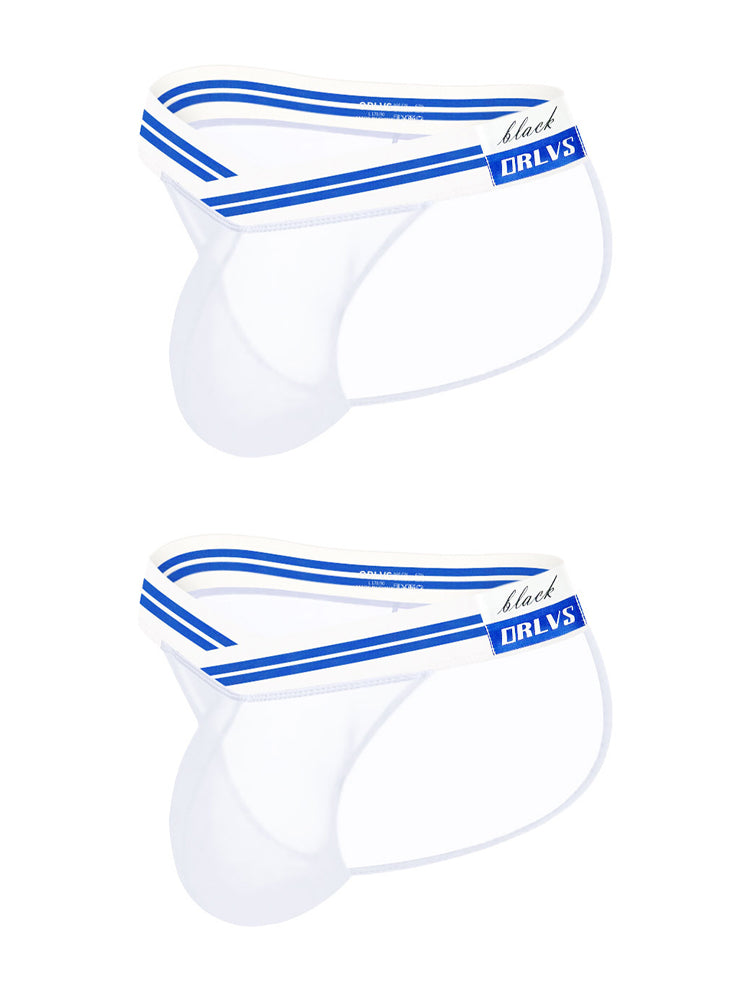 2-pack Men's Sexy Semi-transparent Mesh Briefs | dmunderwear detail image 16