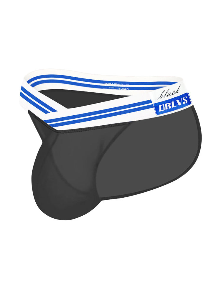 2-pack Men's Sexy Semi-transparent Mesh Briefs | dmunderwear detail image 19