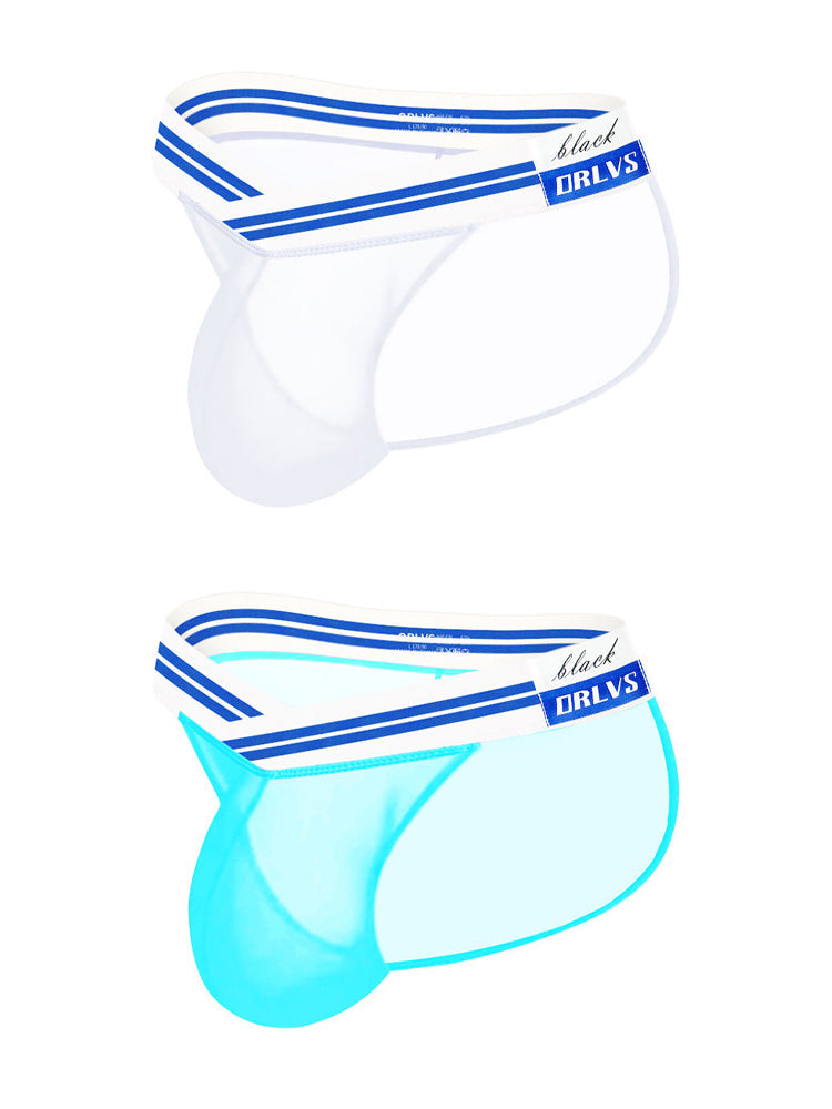 2-pack Men's Sexy Semi-transparent Mesh Briefs | dmunderwear detail image 2