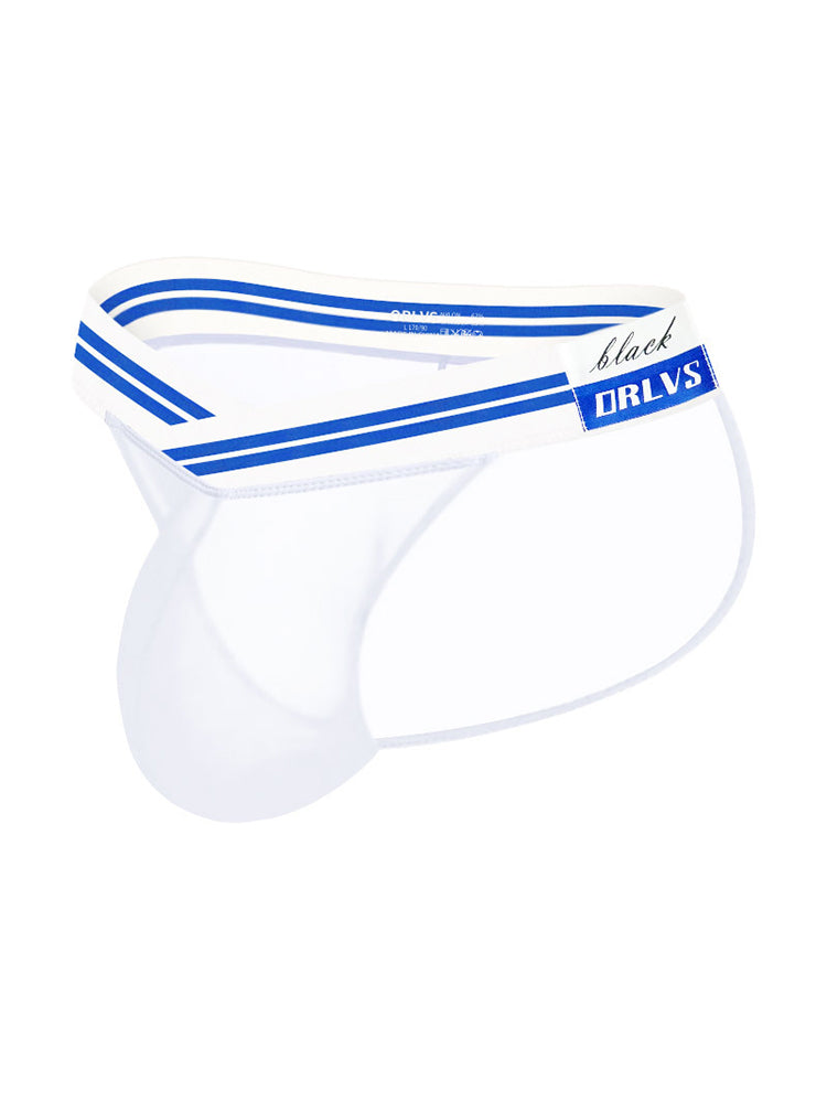 2-pack Men's Sexy Semi-transparent Mesh Briefs | dmunderwear detail image 20