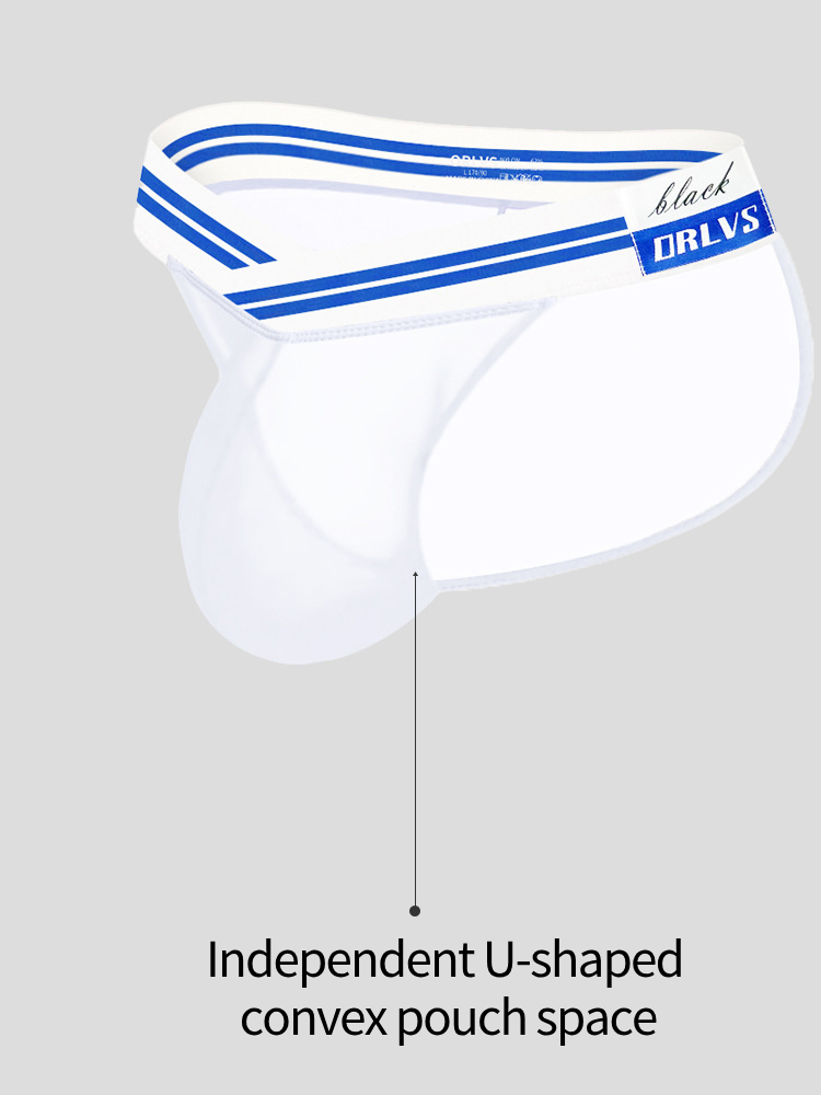 2-pack Men's Sexy Semi-transparent Mesh Briefs | dmunderwear detail image 7