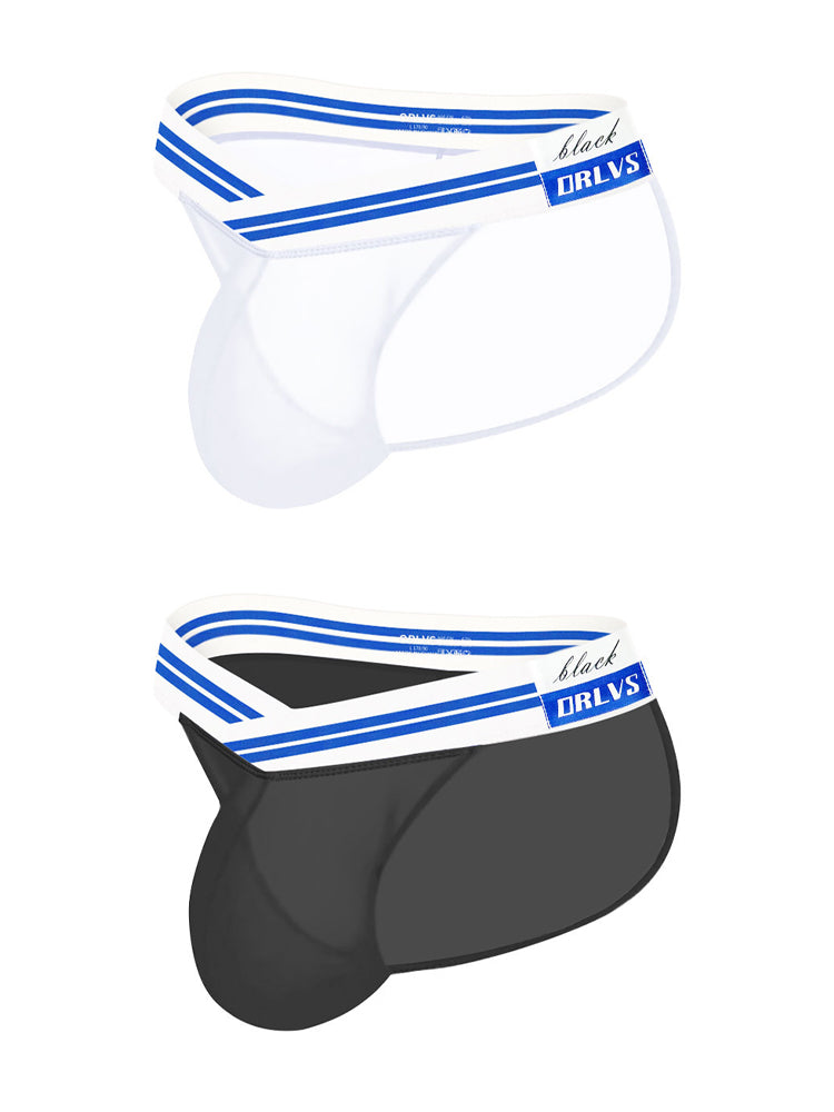 2-pack Men's Sexy Semi-transparent Mesh Briefs | dmunderwear detail image 8