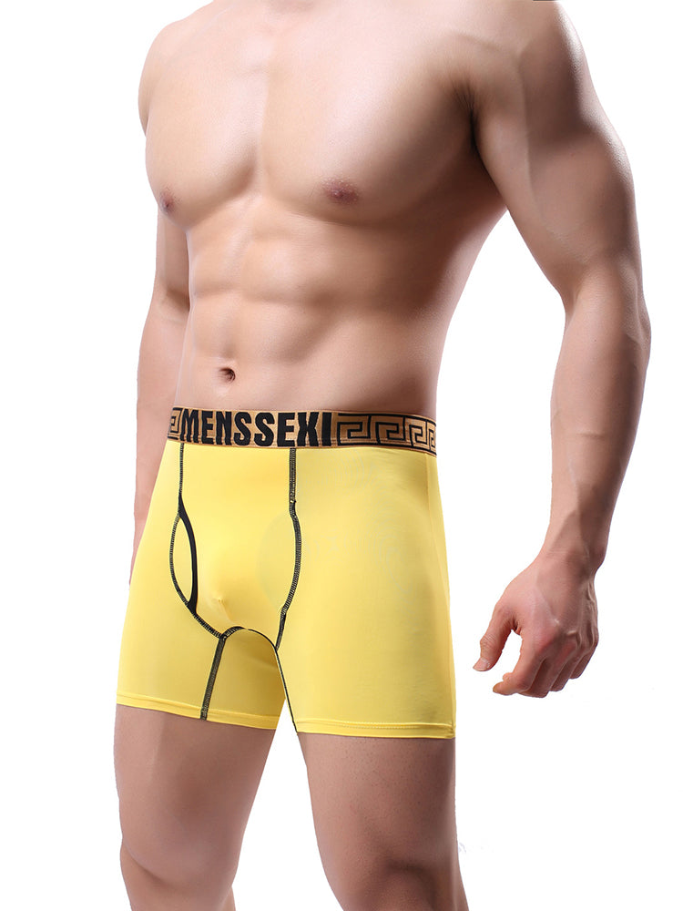 2 Pack Men's Sexy Sports Ice Silk Boxer Briefs | dmunderwear detail image 9
