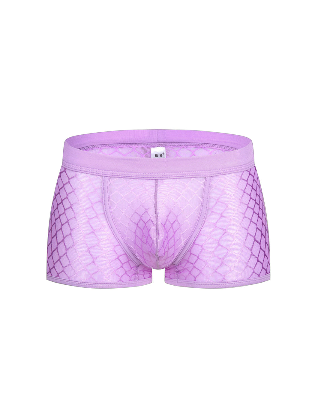 2 Pack Men's Sexy Transparent Mesh Trunks | dmunderwear detail image 9