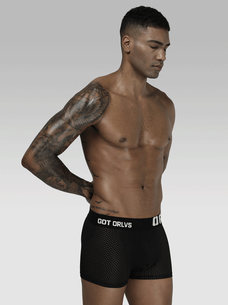 2 Pack Men's Sexy Transparent Seamless Mesh Solid Color Breathable Trunks & Bikini | dmunderwear