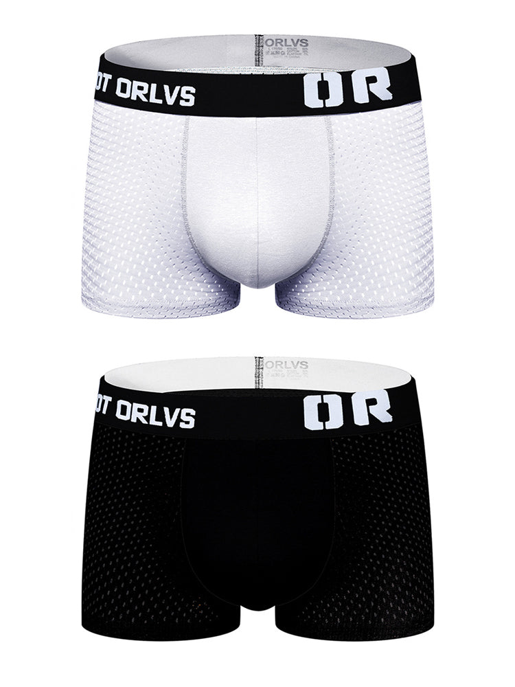 2 Pack Men's Sexy Transparent Seamless Mesh Solid Color Breathable Trunks & Bikini | dmunderwear detail image 12