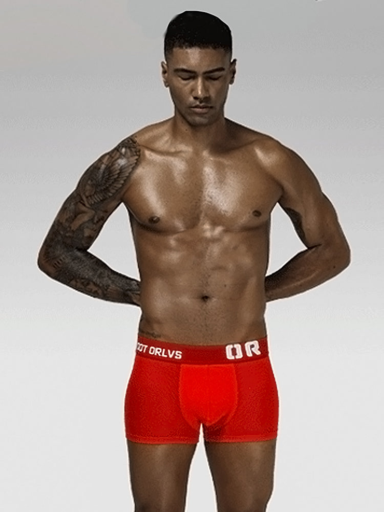 2 Pack Men's Sexy Transparent Seamless Mesh Solid Color Breathable Trunks & Bikini | dmunderwear detail image 16