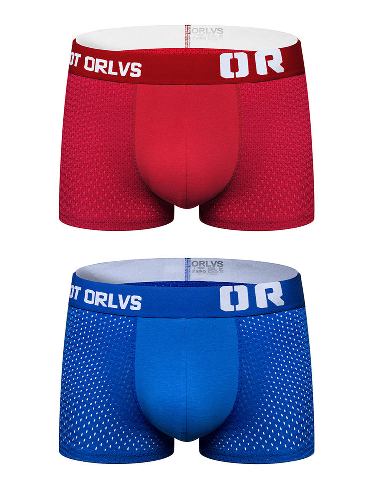 2 Pack Men's Sexy Transparent Seamless Mesh Solid Color Breathable Trunks & Bikini | dmunderwear detail image 17