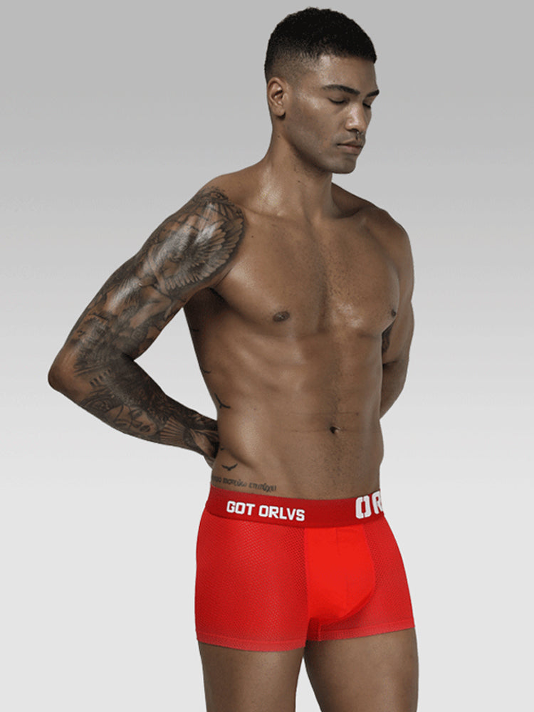 2 Pack Men's Sexy Transparent Seamless Mesh Solid Color Breathable Trunks & Bikini | dmunderwear detail image 18