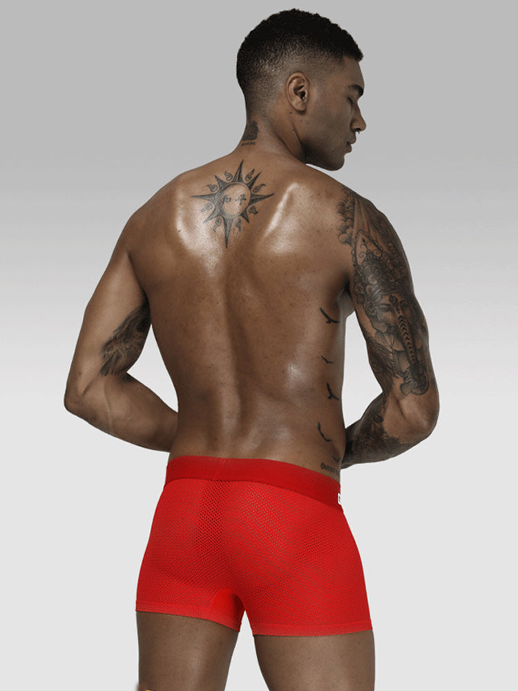2 Pack Men's Sexy Transparent Seamless Mesh Solid Color Breathable Trunks & Bikini | dmunderwear detail image 19