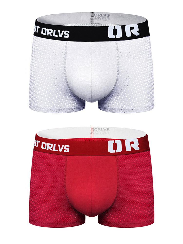 2 Pack Men's Sexy Transparent Seamless Mesh Solid Color Breathable Trunks & Bikini | dmunderwear detail image 2