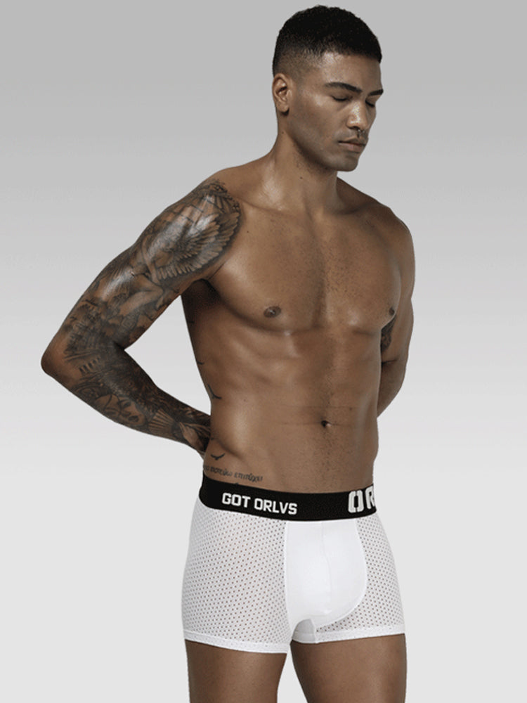 2 Pack Men's Sexy Transparent Seamless Mesh Solid Color Breathable Trunks & Bikini | dmunderwear detail image 20