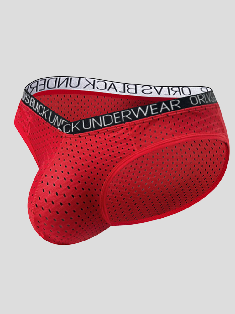 2 Pack Men's Sexy V-shape Waistband Mesh Bikinis | dmunderwear