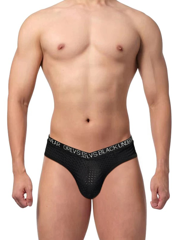 2 Pack Men's Sexy V-shape Waistband Mesh Bikinis | dmunderwear detail image 10