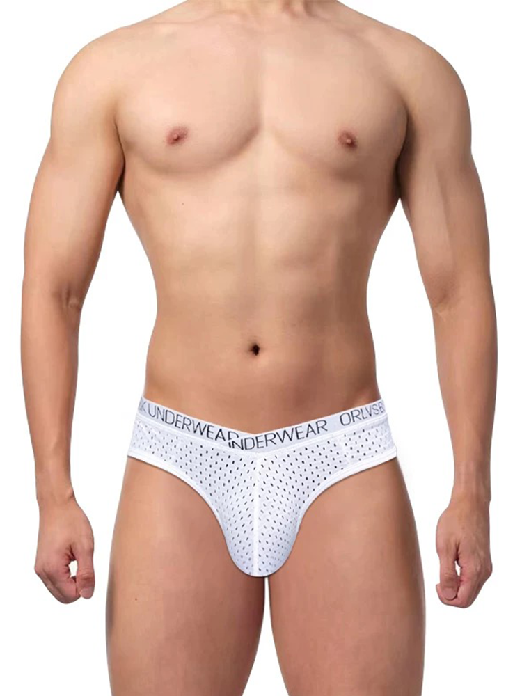 2 Pack Men's Sexy V-shape Waistband Mesh Bikinis | dmunderwear detail image 11