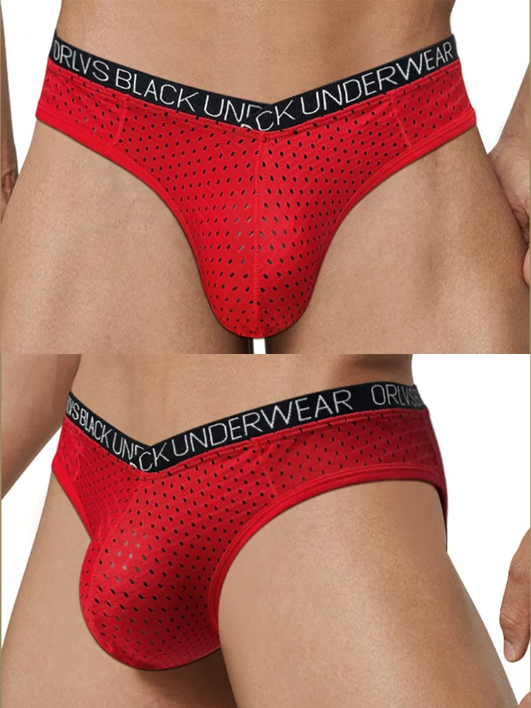 2 Pack Men's Sexy V-shape Waistband Mesh Bikinis | dmunderwear detail image 3