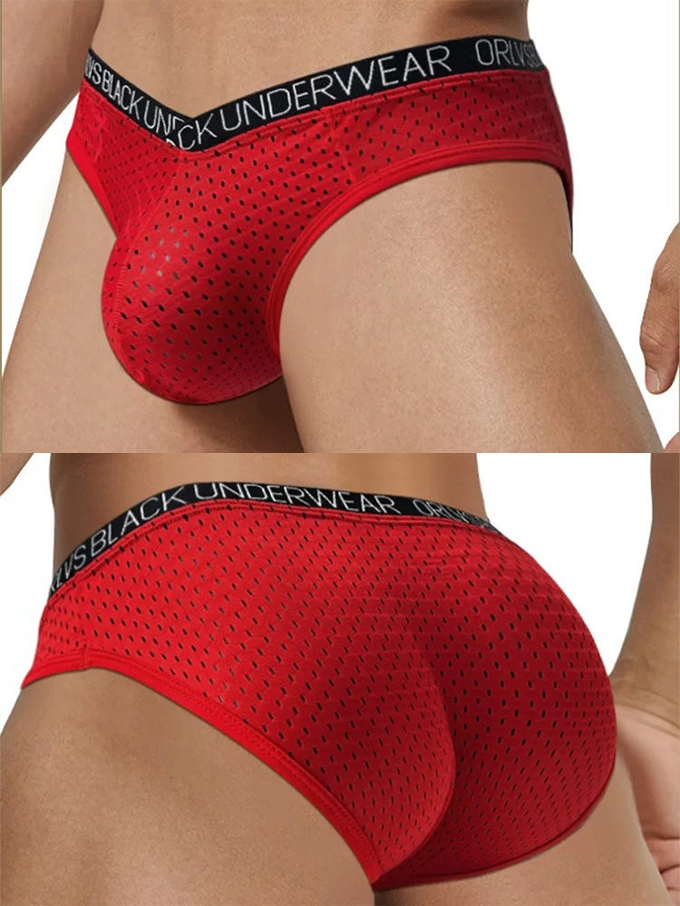2 Pack Men's Sexy V-shape Waistband Mesh Bikinis | dmunderwear detail image 4