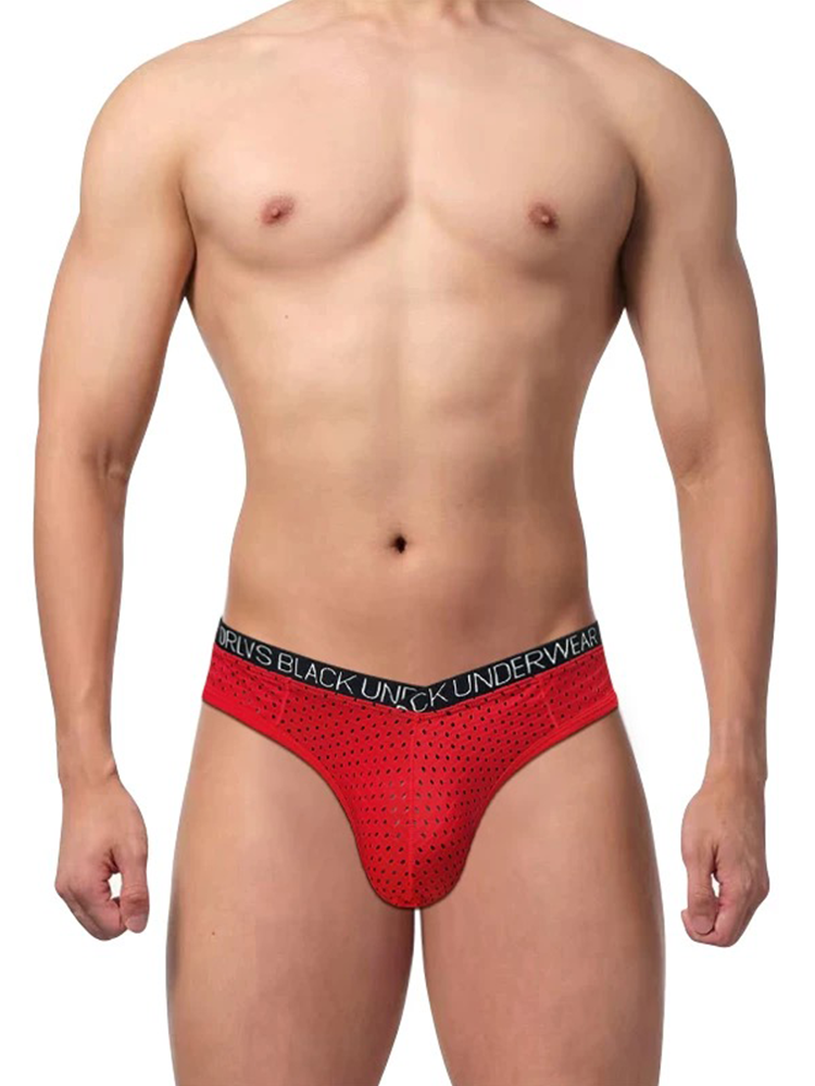 2 Pack Men's Sexy V-shape Waistband Mesh Bikinis | dmunderwear detail image 9