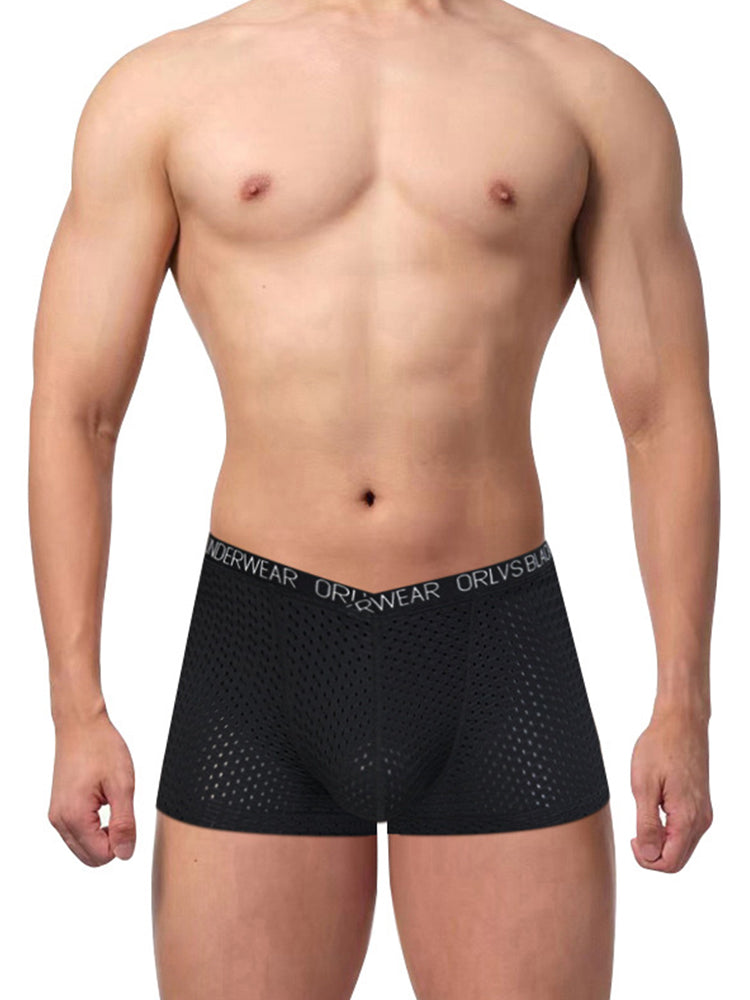 2 Pack Men's Sexy V-shape Waistband Mesh Trunks | dmunderwear detail image 3