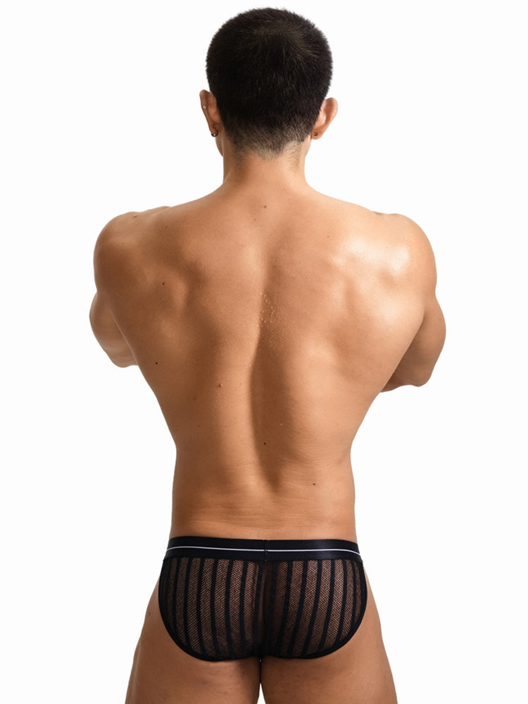 2 Pack Men's Sheer Mesh Low-Rise Breathable Briefs | dmunderwear detail image 3