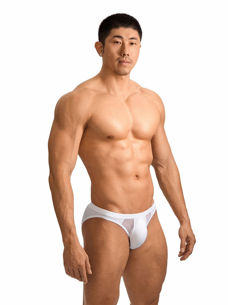 2 Pack Men's Sheer Mesh Low-Rise Sexy Ice Silk Briefs | dmunderwear