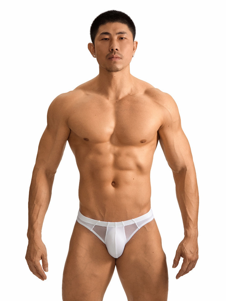2 Pack Men's Sheer Mesh Low-Rise Sexy Ice Silk Briefs | dmunderwear detail image 4