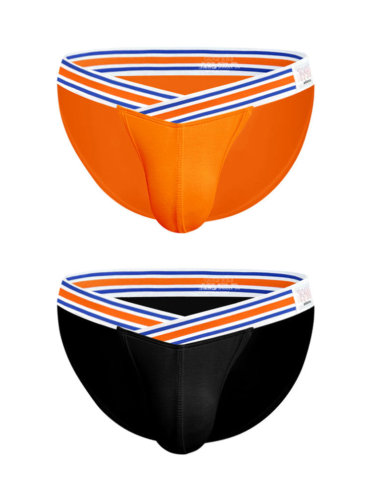 2-pack Men's Striped V-waist High-cut Briefs | dmunderwear detail image 14